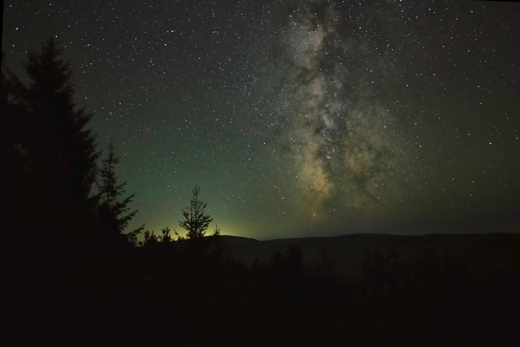 Stargazing in Redwood National Park: Giant Trees Under a Bortle 2 Sky